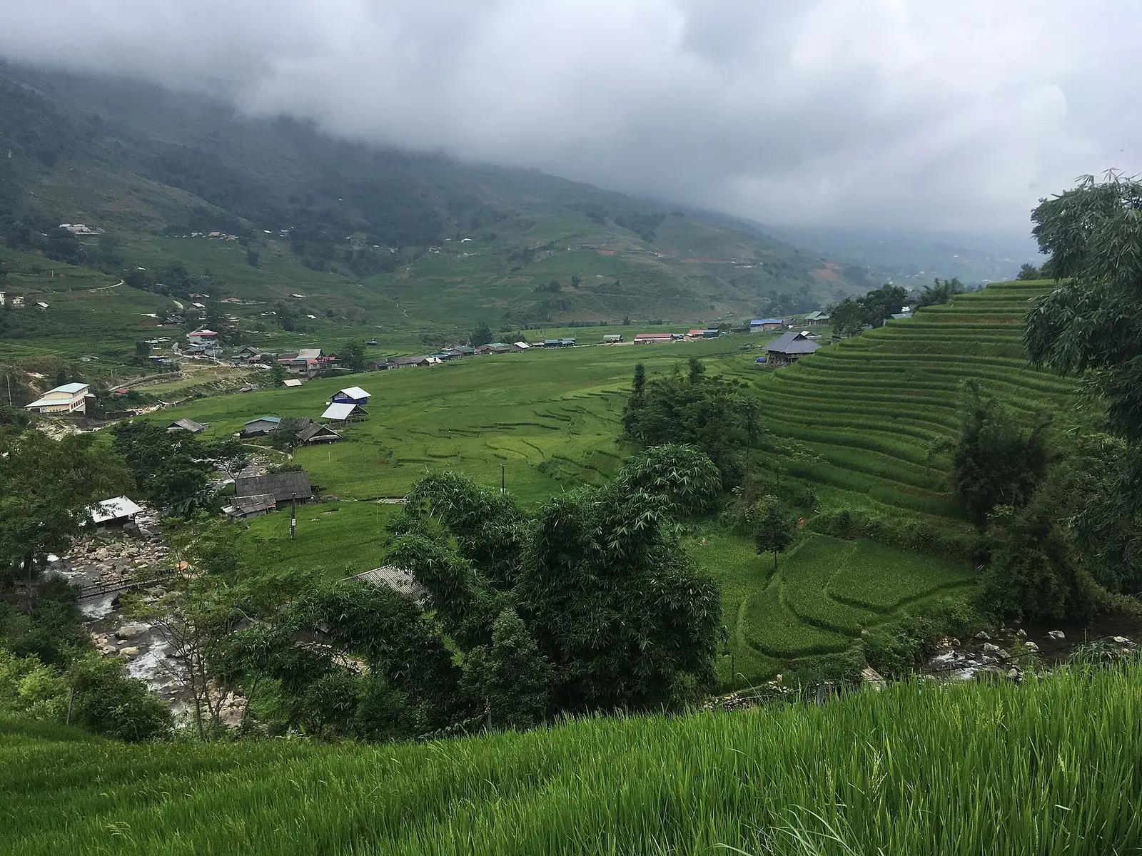 Houses of Lao Chải among rice terraces in the Mường Hoa valley