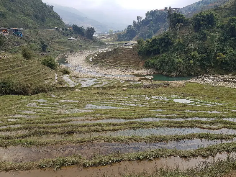 Flooded rice terraces above a river bend near Tả Van