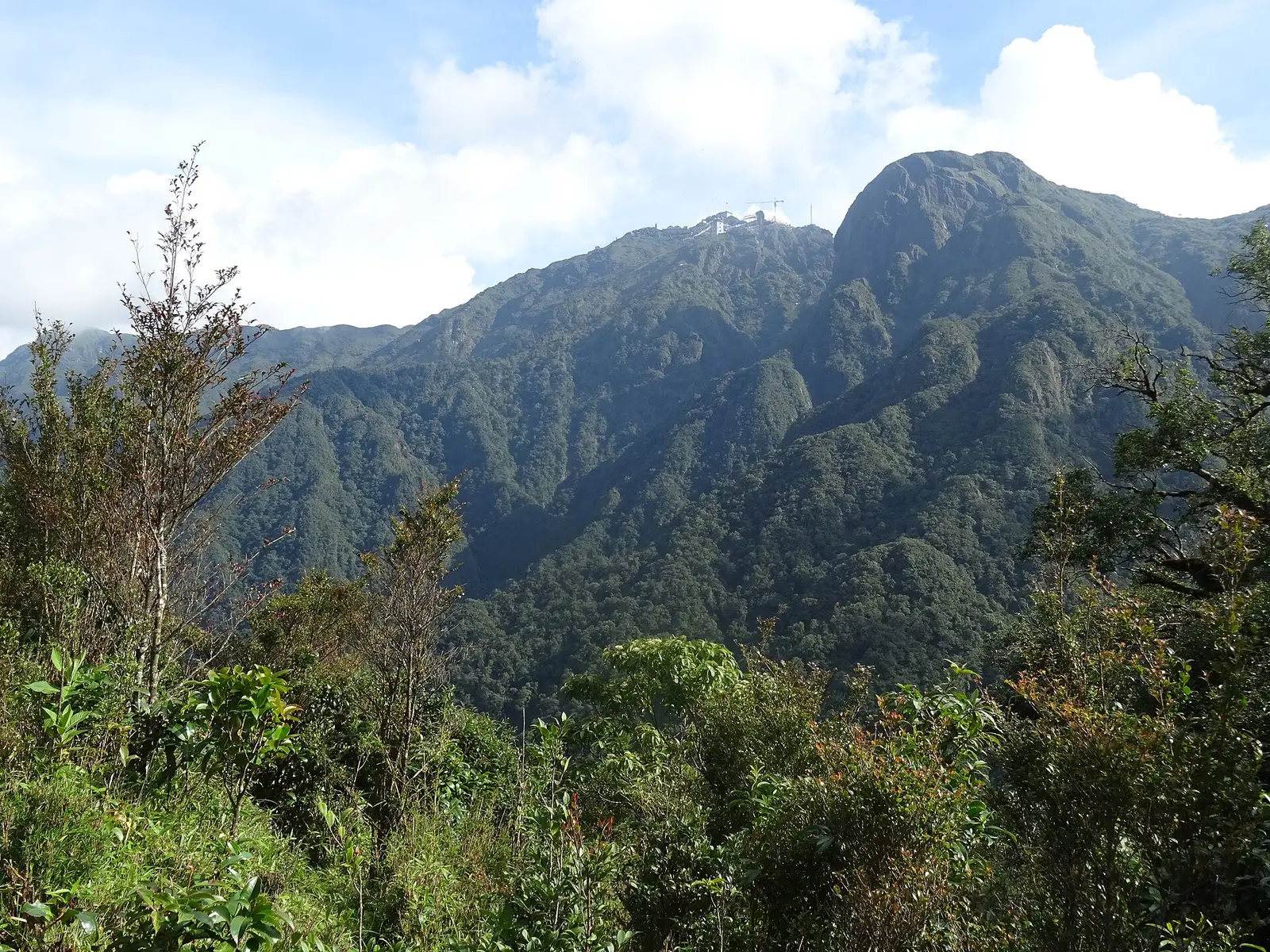 Fansipan's forested ridges rising to the summit, seen from the trail below the peak